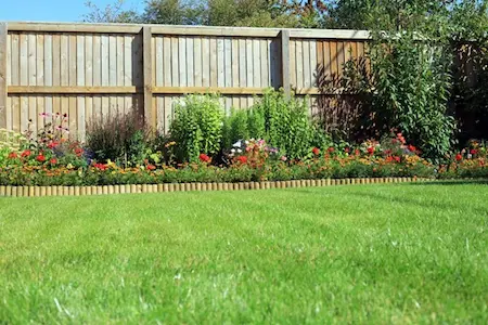 Landscaped residential backyard with wooden fence.