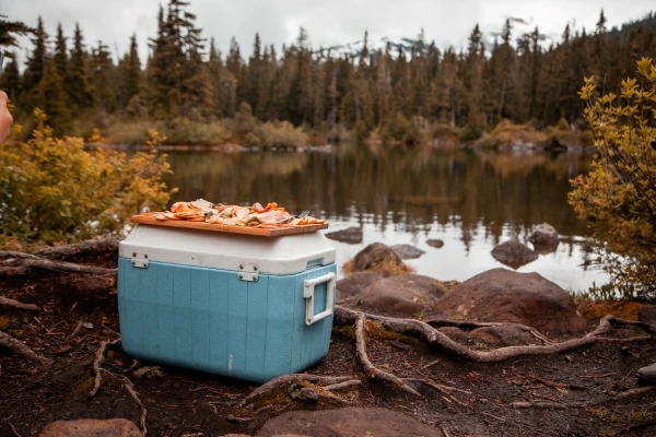 cooler near water with mountains in distance