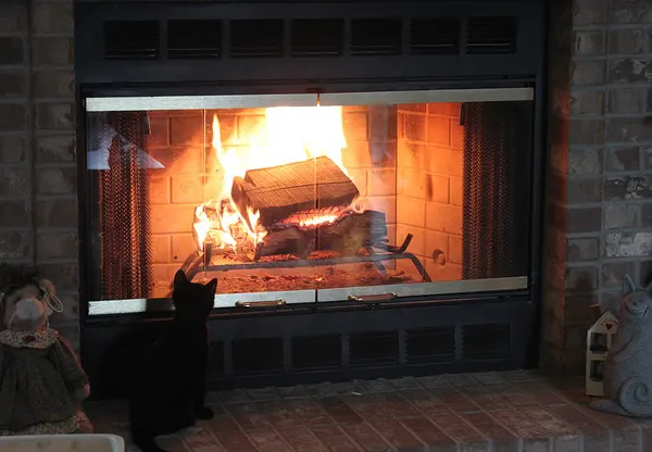 A lit fireplace with glass doors