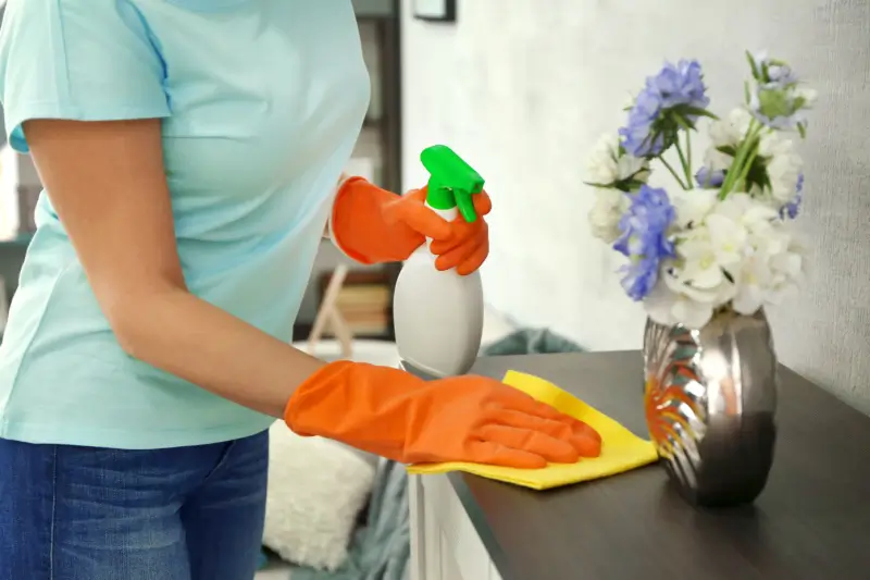 Woman damp wiping furniture