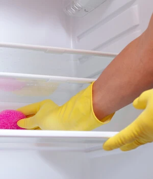 cleaning the refrigerator