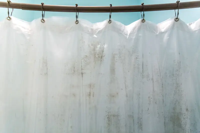 Mildew on shower curtain