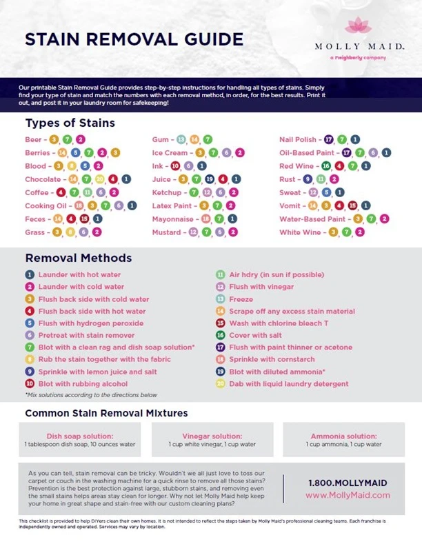 Molly Maid Stain Removal Guide